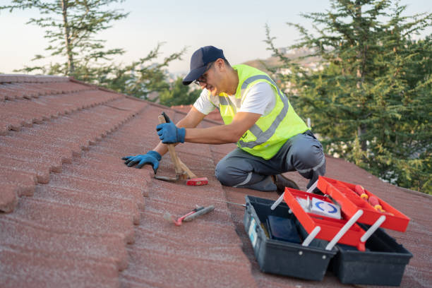 Best Roof Replacement Cost  in Spring Valley, WI