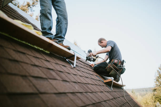 Best Gutter Installation and Roofing  in Spring Valley, WI