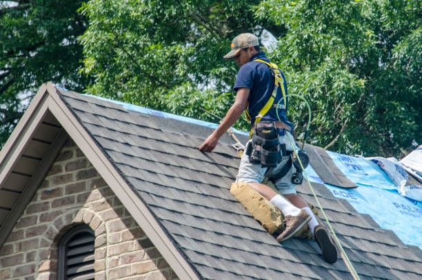 Best Roof Waterproofing Services  in Spring Valley, WI